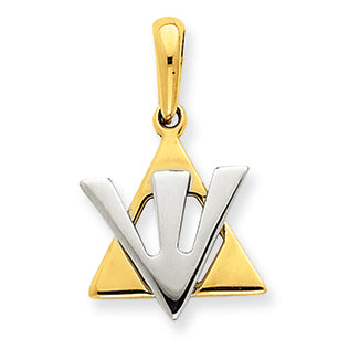 14K Gold Star of David w/ Shin Charm
