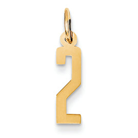 14K Gold Small Polished Elongated 2 Charm