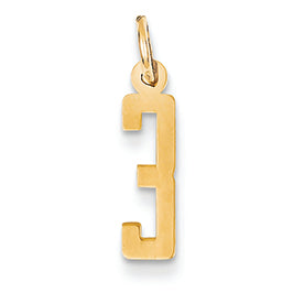 14K Gold Small Polished Elongated 3 Charm