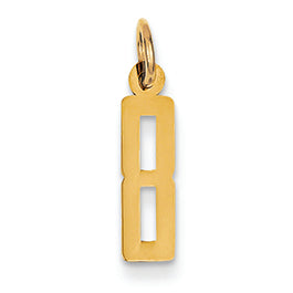 14K Gold Small Polished Elongated 8 Charm
