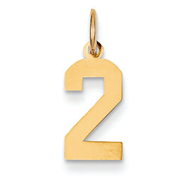 14K Gold Small Polished Number 2 Charm