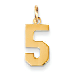 14K Gold Small Polished Number 5 Charm
