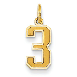 14K Gold Small Satin Number 3 Charm