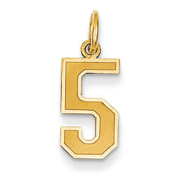 14K Gold Small Satin Number 5 Charm