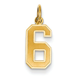 14K Gold Small Satin Number 6 Charm