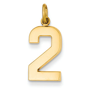 14K Goldy Casted Medium Polished Number 2 Charm