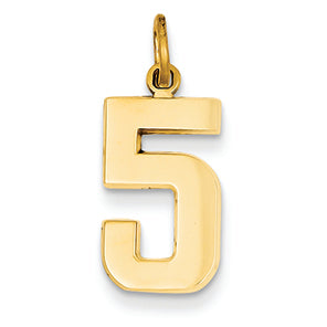 14K Goldy Casted Medium Polished Number 5 Charm