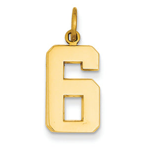 14K Goldy Casted Medium Polished Number 6 Charm