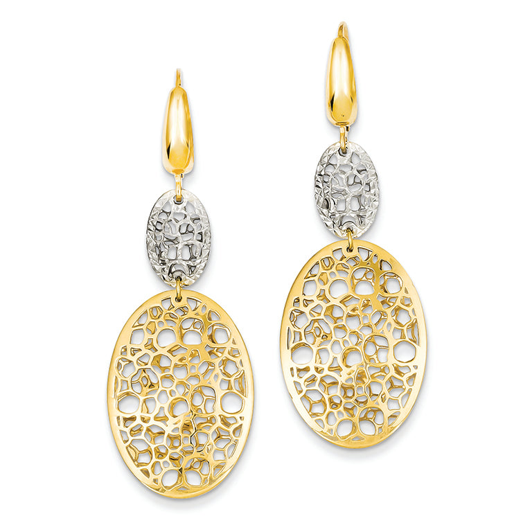 14K Gold Two-tone Polished & Diamond Cut Oval Leverback Earrings