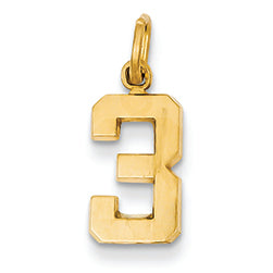 14K Goldy Casted Small Polished Number 3 Charm