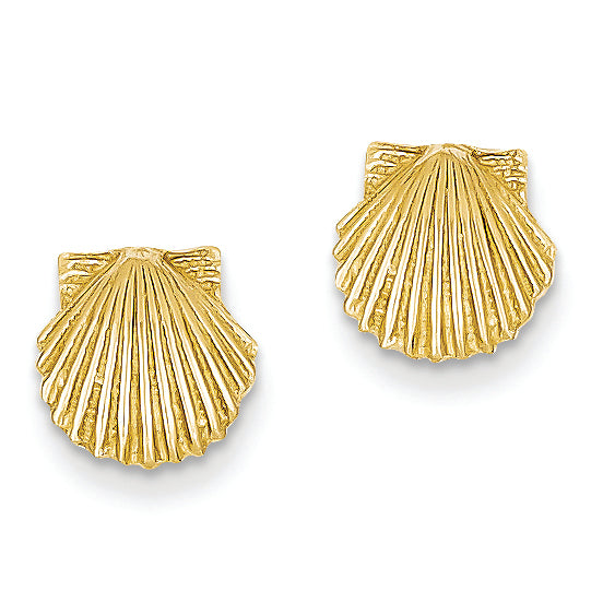 14K Gold Scallop Shell Post Earrings