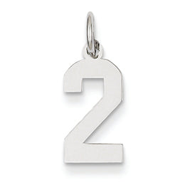 14K White Gold Small Polished Number 2 Charm