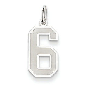 14K White Gold Medium Satin Number 6 Charm