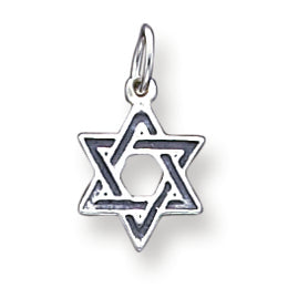 Sterling Silver Antiqued Star of David Charm