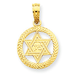 14K Gold Star of David in Circle Pendant