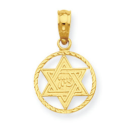 14K Gold Star of David in Circle Frame Pendant