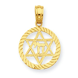 14K Gold Star of David and Chi in Circle Pendant