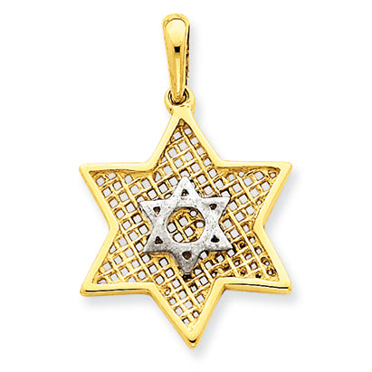 14K Gold Two-Tone Solid Polished Meshed Star of David Charm