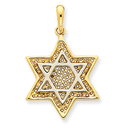 14K Gold Two-Tone Solid Open-Back Meshed Star of David Charm