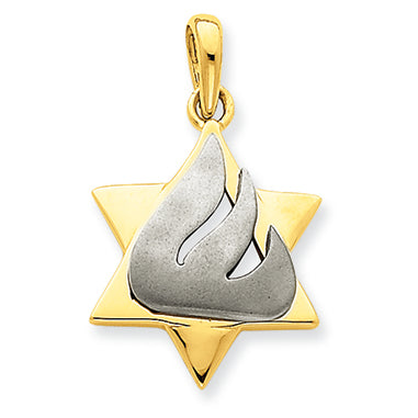14K Gold Two-tone Star of David Pendant