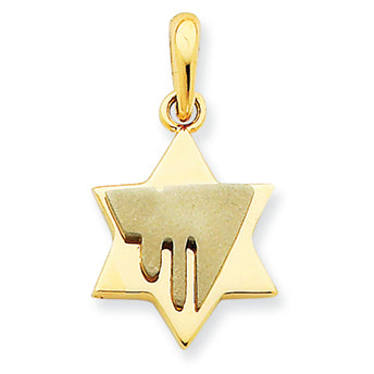 14K Gold Two-tone Chai on Star of David Pendant