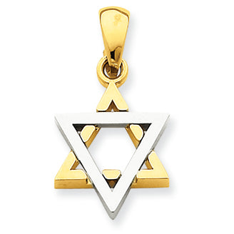 14K Gold Two-tone Star of David Pendant
