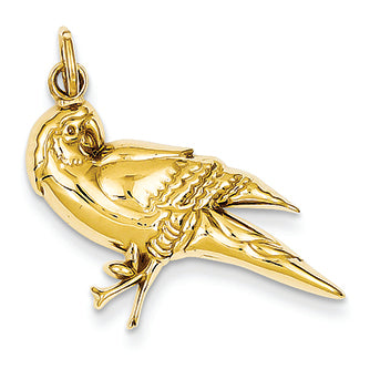 14K Gold yellow gold Parrot Charm