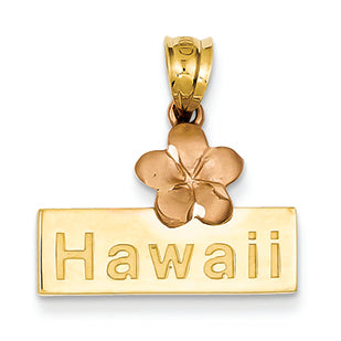 14K Gold Two-tone Hawaii w/Plumeria Flower Pendant