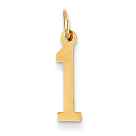 14K Gold Small Polished Elongated 1 Charm