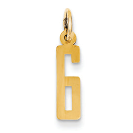 14K Gold Small Polished Elongated 6 Charm