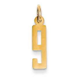 14K Gold Small Polished Elongated 9 Charm
