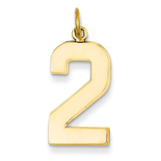 14K Goldy Casted Large Polished Number 2 Charm
