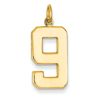 14K Goldy Casted Large Polished Number 9 Charm