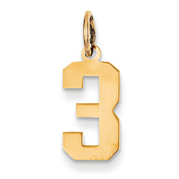 14K Gold Small Polished Number 3 Charm