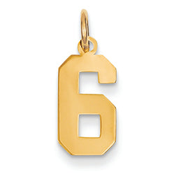 14K Gold Small Polished Number 6 Charm