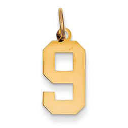 14K Gold Small Polished Number 9 Charm