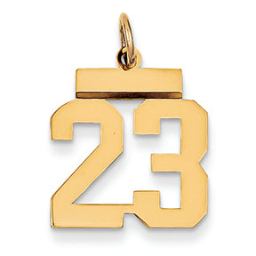 14K Gold Small Polished Number 23 Charm