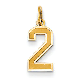 14K Gold Small Satin Number 2 Charm