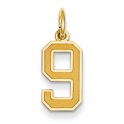 14K Gold Small Satin Number 9 Charm