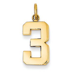14K Goldy Casted Medium Polished Number 3 Charm