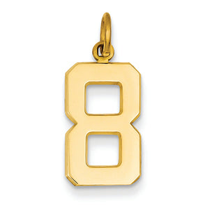 14K Goldy Casted Medium Polished Number 8 Charm