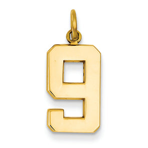 14K Goldy Casted Medium Polished Number 9 Charm