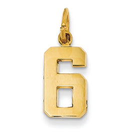 14K Goldy Casted Small Polished Number 6 Charm