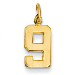 14K Goldy Casted Small Polished Number 9 Charm