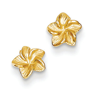14K Gold Plumeria Flower Post earrings