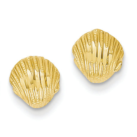 14K Gold Diamond-cut Shell Earrings