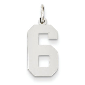 14K White Gold Medium Polished Number 6 Charm