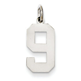 14K White Gold Medium Polished Number 9 Charm