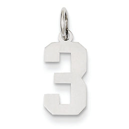 14K White Gold Small Polished Number 3 Charm