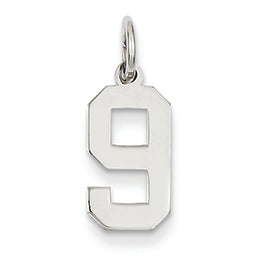 14K White Gold Small Polished Number 9 Charm